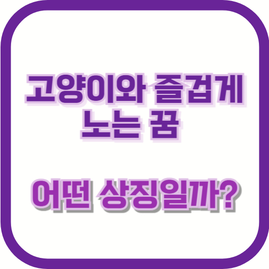 고양이와 즐겁게 노는 꿈, 어떤 상징일까?