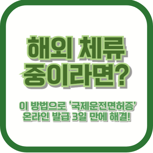 해외 체류 중이라면? 이 방법으로 ‘국제운전면허증’ 온라인 발급 3일 만에 해결!