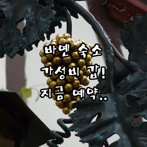 중국 바옌 여행 가성비 숙소 추천 리..