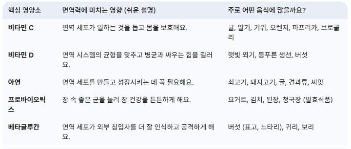 면역력-높이는-핵심-영양소