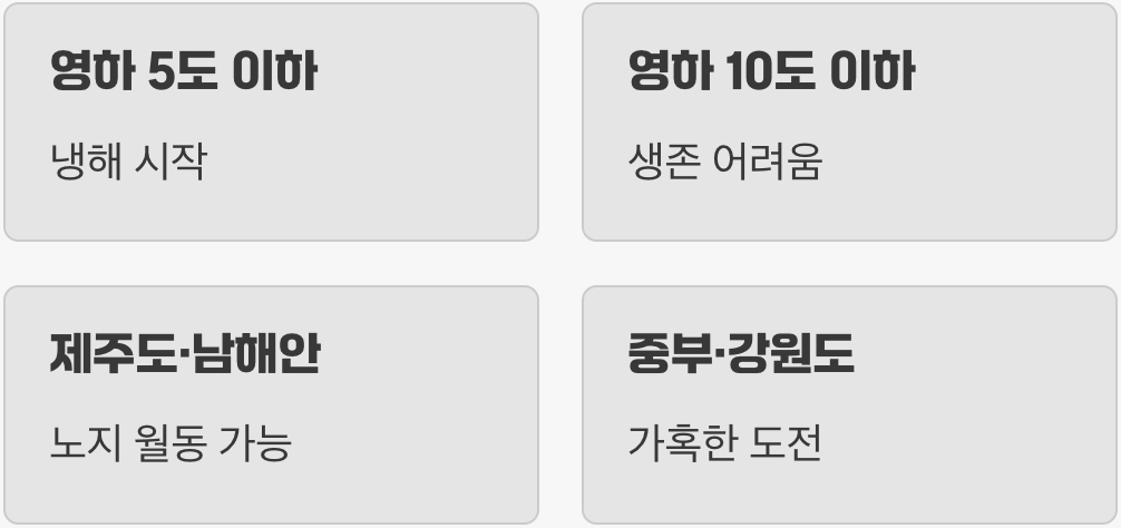 성공의 첫 번째 조건, '지역'