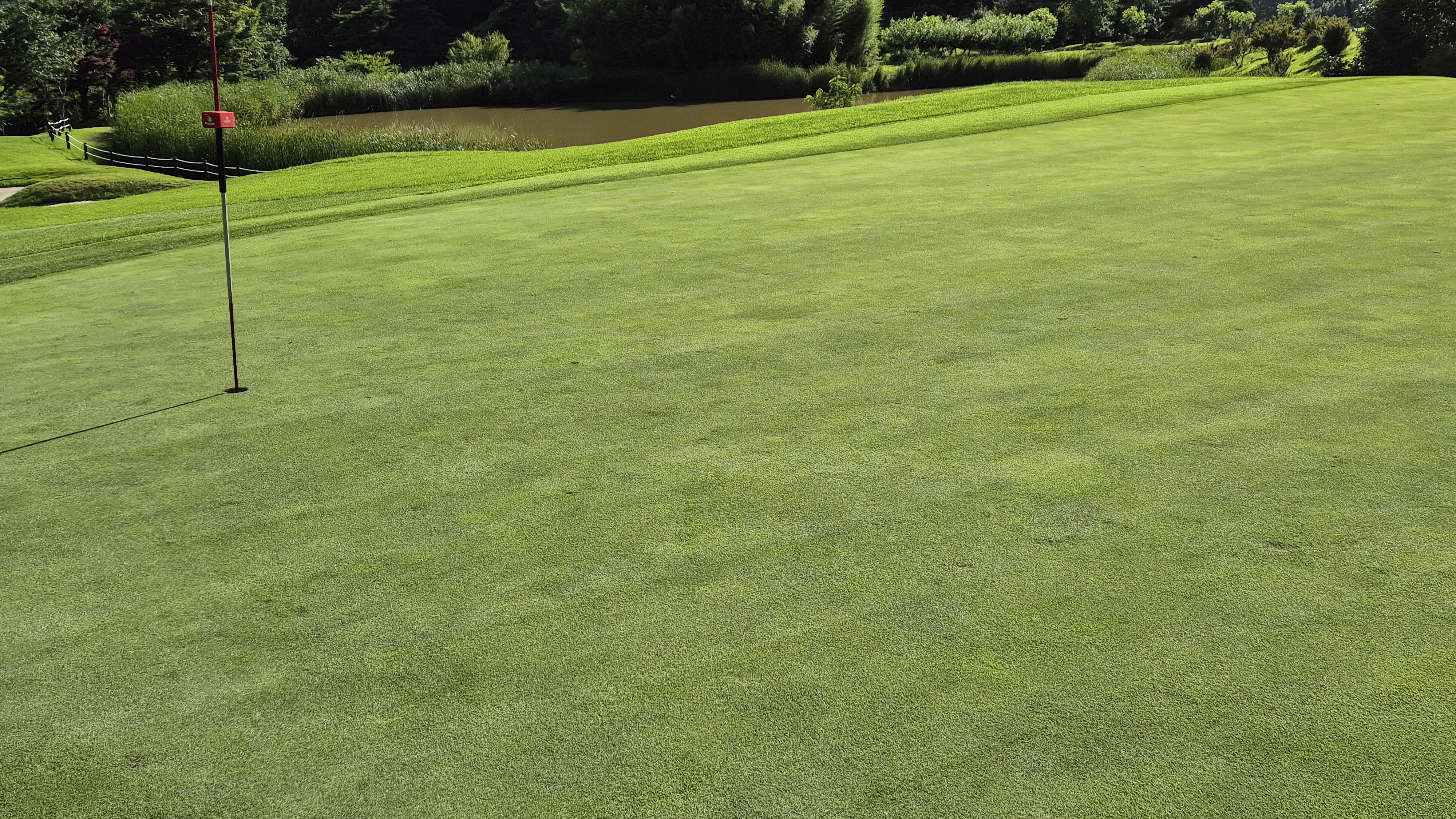 SG 아름다운cc 라운드 후기