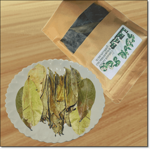 그라비올라 잎 효능