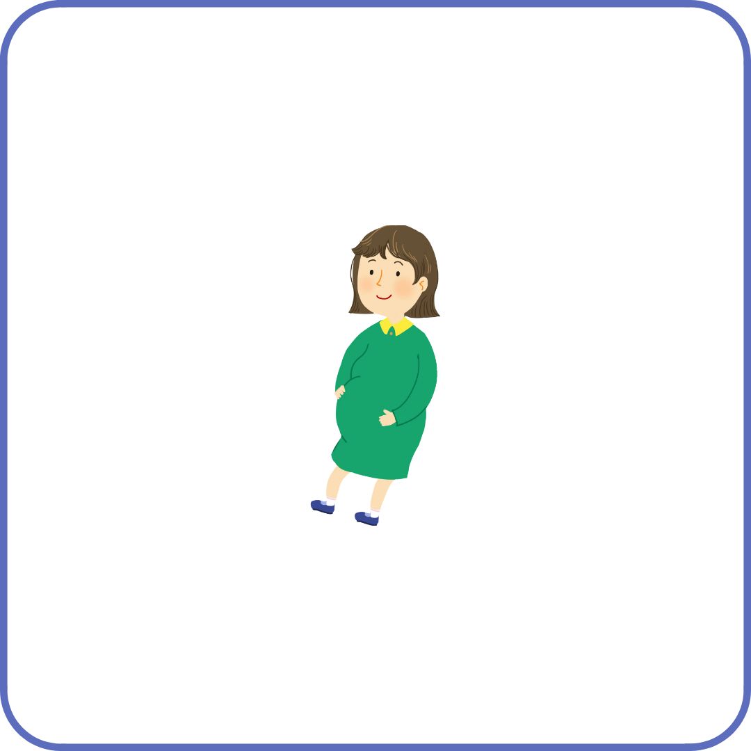 내 보험 조회하기