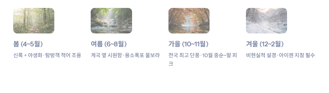 속초 근교 산책·달리기·트레킹 명소 완벽 가이드