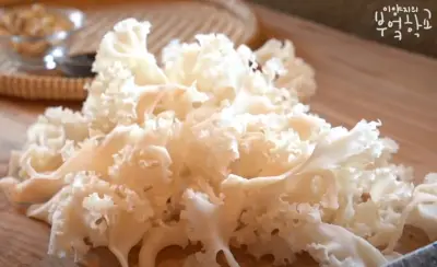 꽃송이버섯-사진