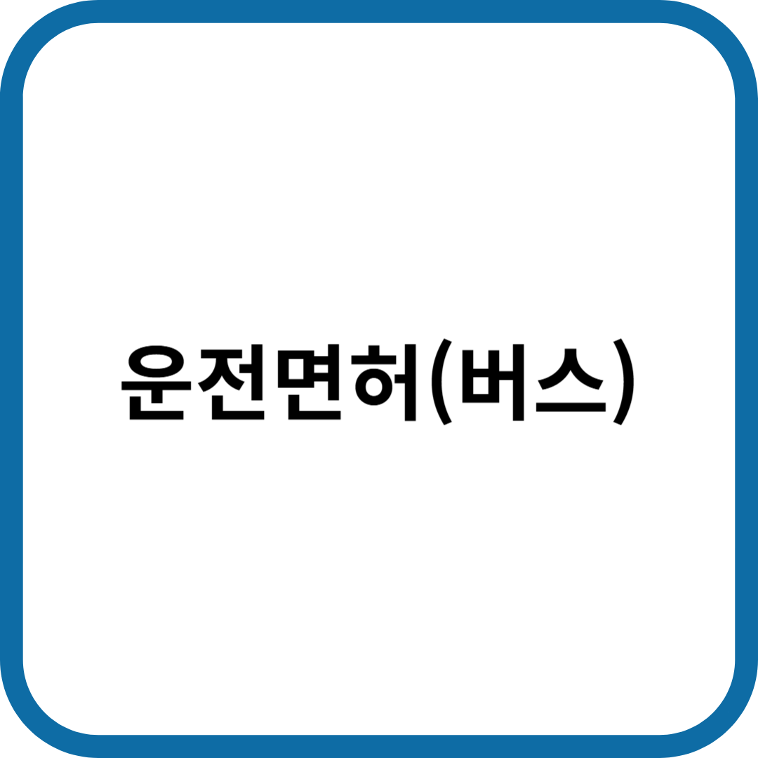 버스 운전면허