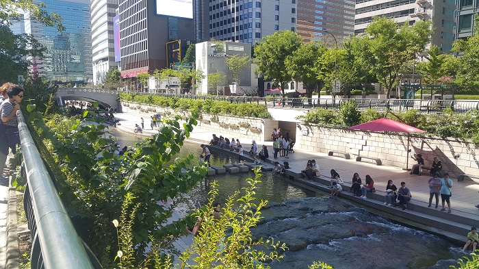 새로 바뀐 광화문 광장과 청계천 산책로