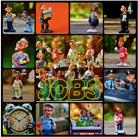 극한 직업 & 특수 직업