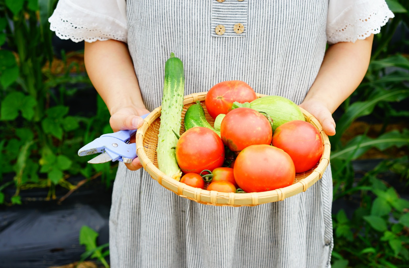 4월에 심는 작물 추천 리스트