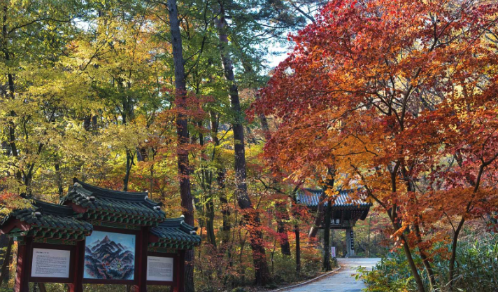 치악산 등산코스, 지도, 추천 등 3분 총정리