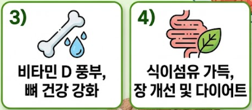 표고버섯 효능