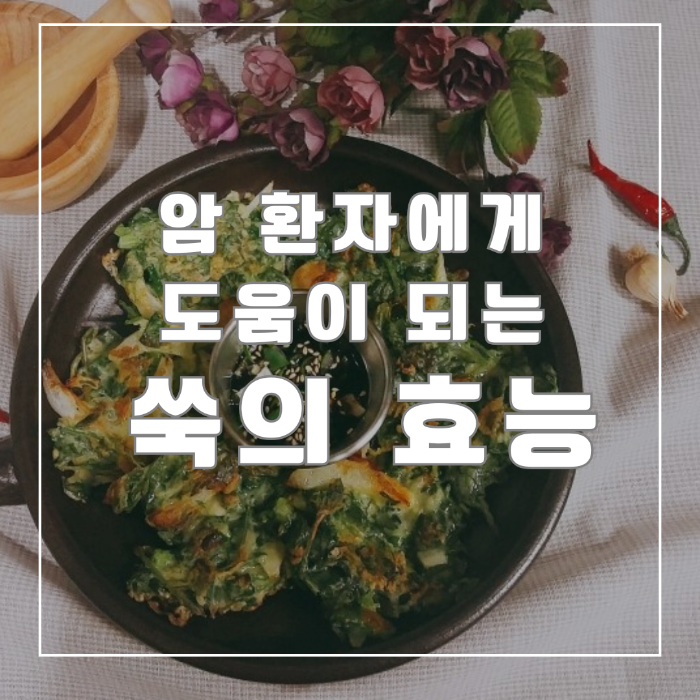쑥의 효능