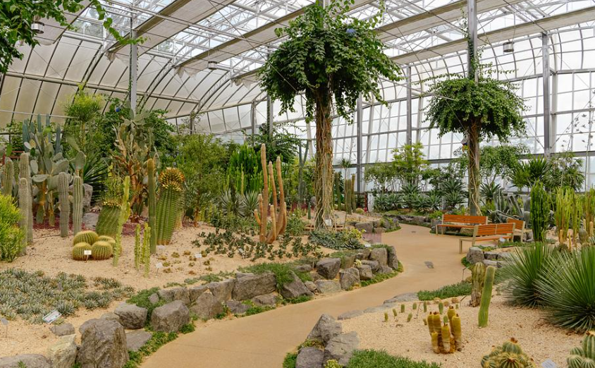 창원수목원 선인장온실