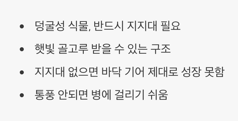 포도를 위한 놀이터, 지지대 설치