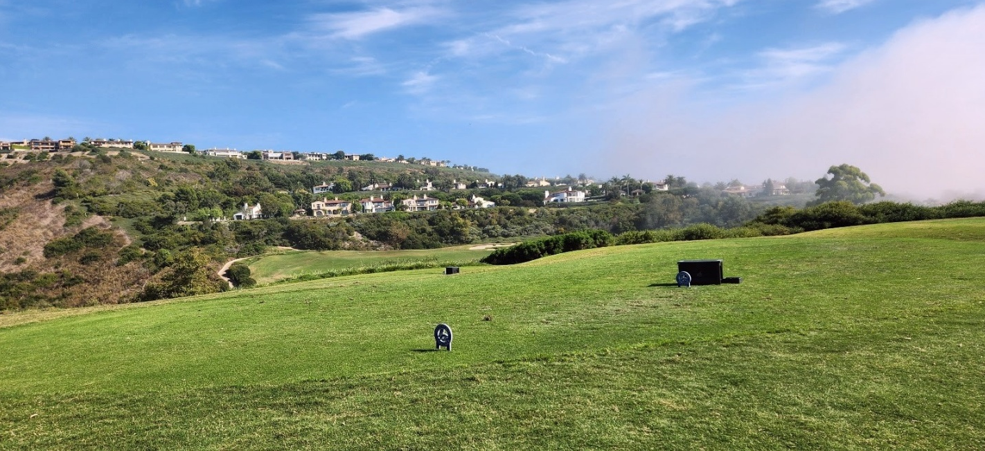 펠리컨힐 티박스