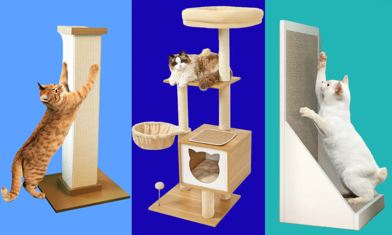 스크래쳐와 캣타워 이미지