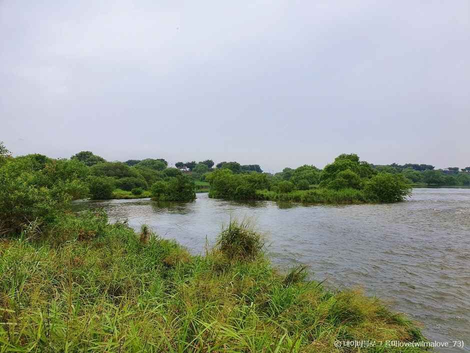 곡성 가볼만한곳 베스트10