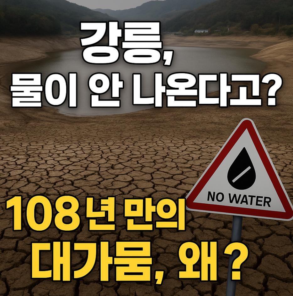 강릉 108년 만의 가뭄, 왜 이렇게 심각할까? 속초&middot;양양은 왜 멀쩡한 걸까? (+ 원인, 대책해소)