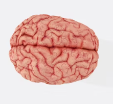 편두통 원인 증상 없애주는 간단한 습관 5가지