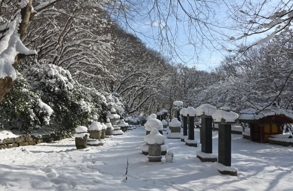 정읍 내장사 : 내장산의 붉은 심장 천년의 역사와 단풍 터널이 빚어낸 호남 최고의 승경