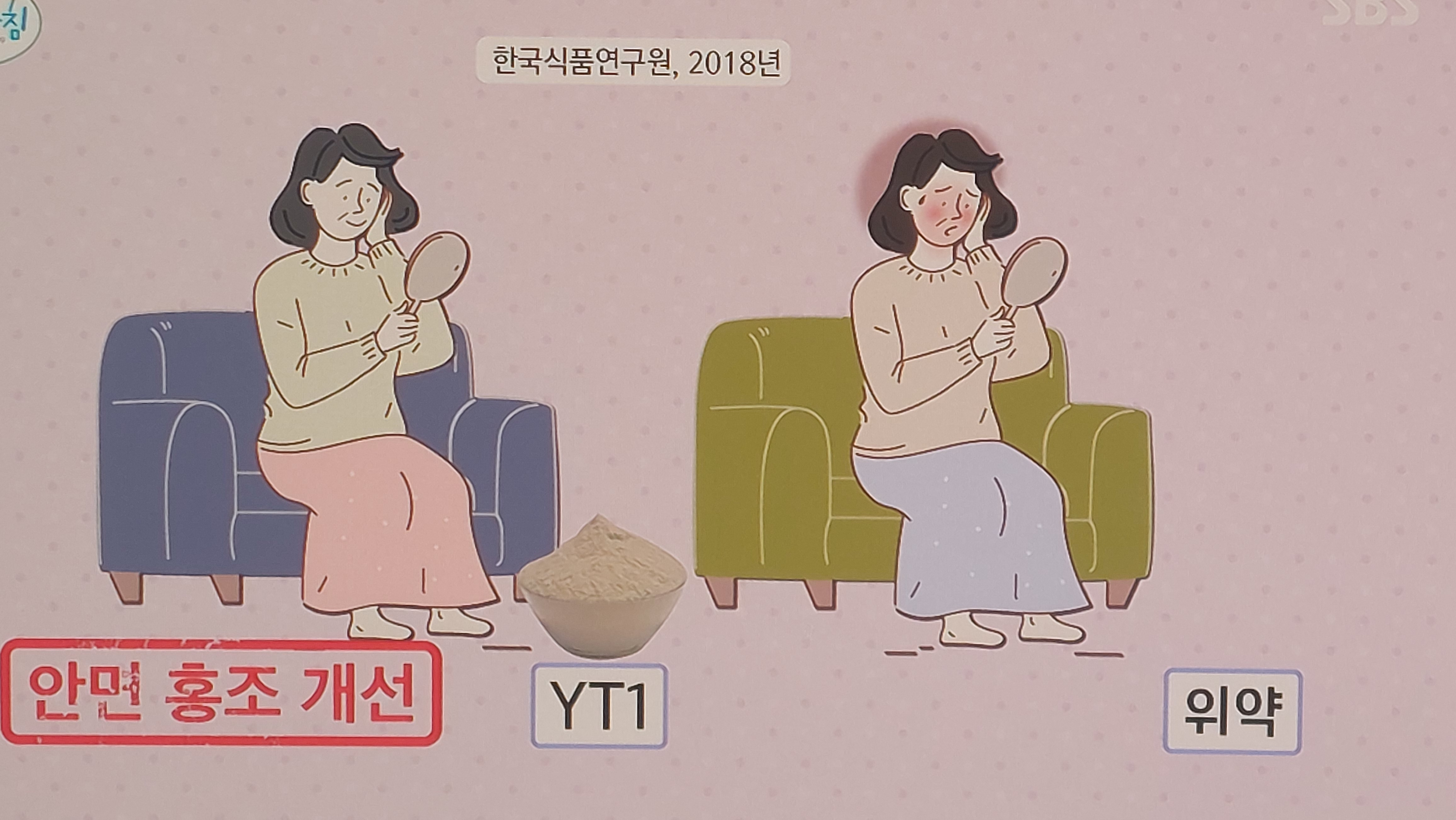 갱년기 유산균 yt1