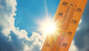 더위먹은 증상 쉽게 확인하는 방법