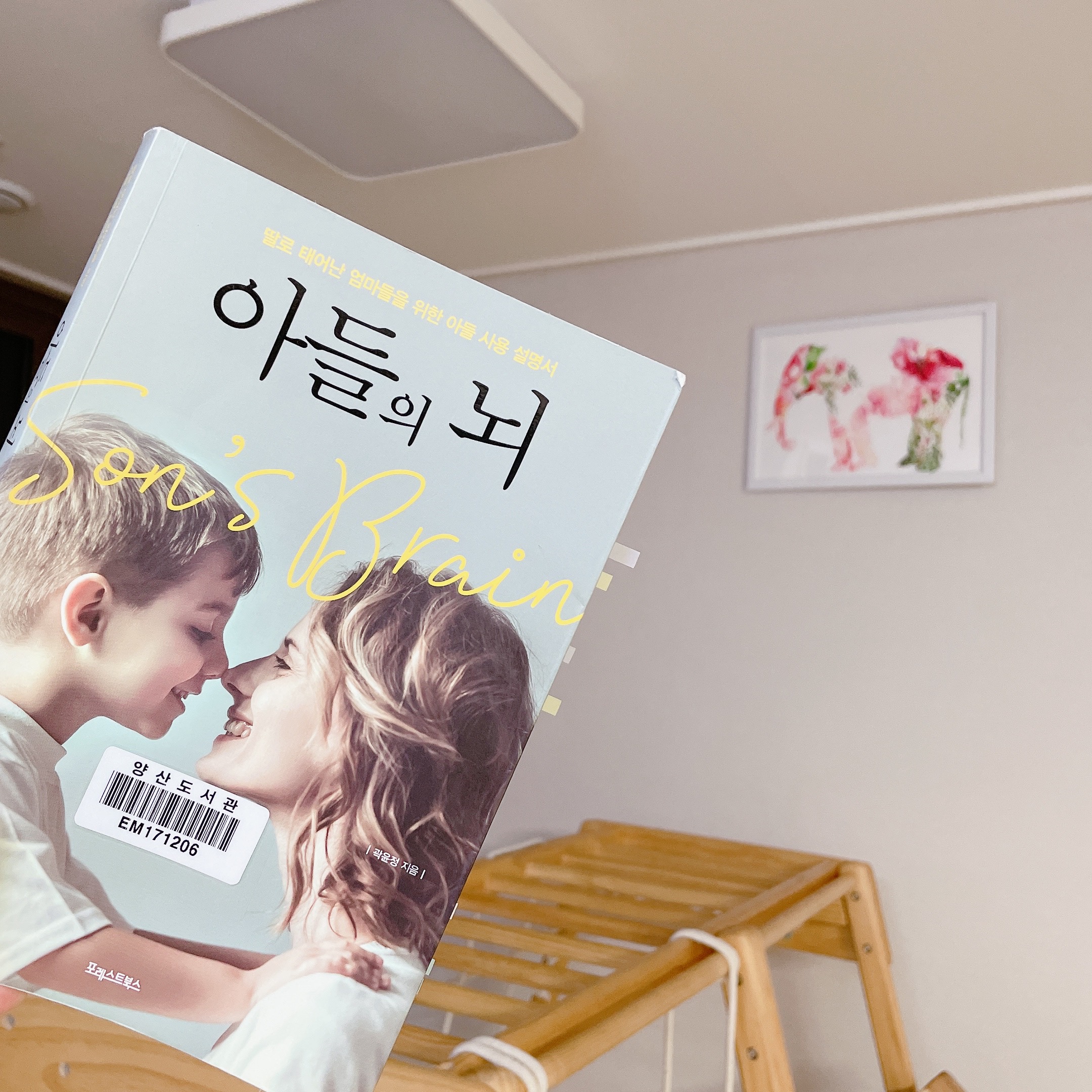 아들의 뇌&#44; 딸로 태어난 엄마들을 위한 아들 사용 설명서