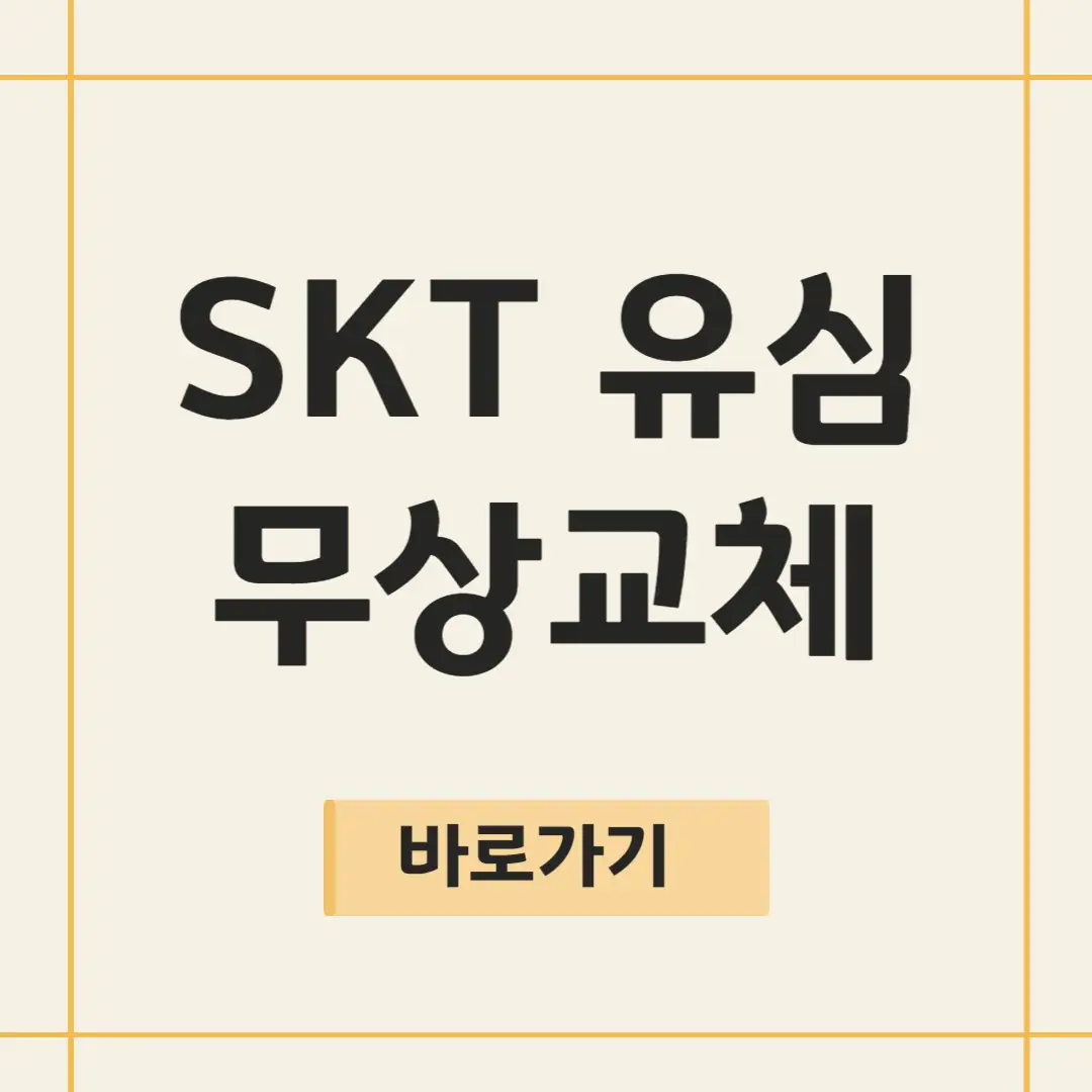 SK텔레콤 SKT 유심 무상교체 방법