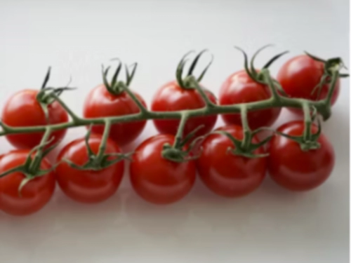 방울토마토 과다섭취 부작용