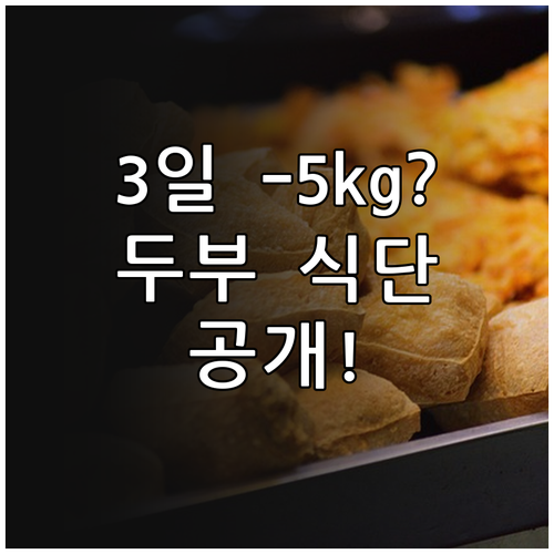 두부 다이어트 3일 집중 식단과 영양..