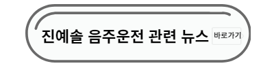 진예솔 음주운전 뉴스