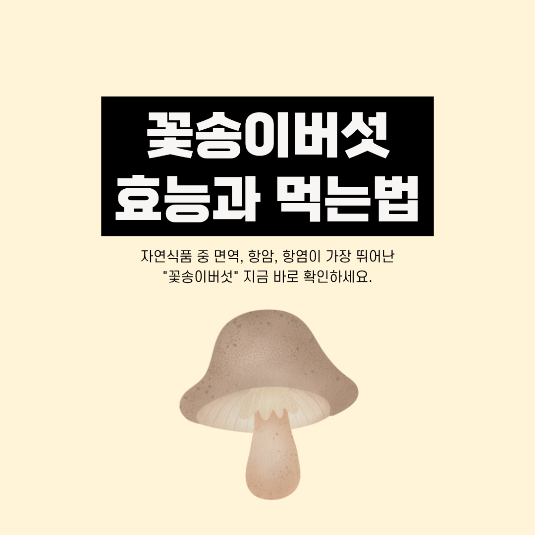 꽃송이버섯 효능과 먹는 방법