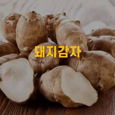 돼지감자