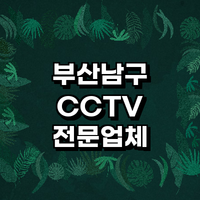부산 남구 cctv