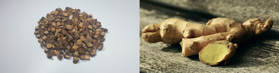 왼쪽 사진은 계수나무의 가지인 계지를 잘게 잘라 놓은 사진이고, 오른쪽 사진은 생강나무의 뿌리인 생강을 잘 세척하여 바닥에 놓고, 일부는 잘라서, 잘린 부분이 보이게 놓은 사진