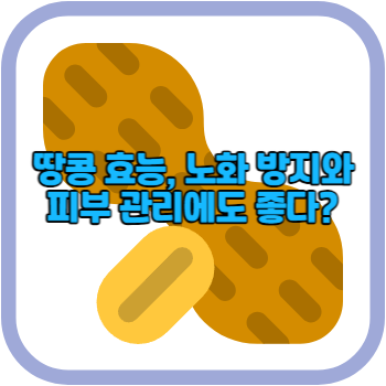 땅콩 효능, 노화 방지와 피부 관리에도 좋다?
