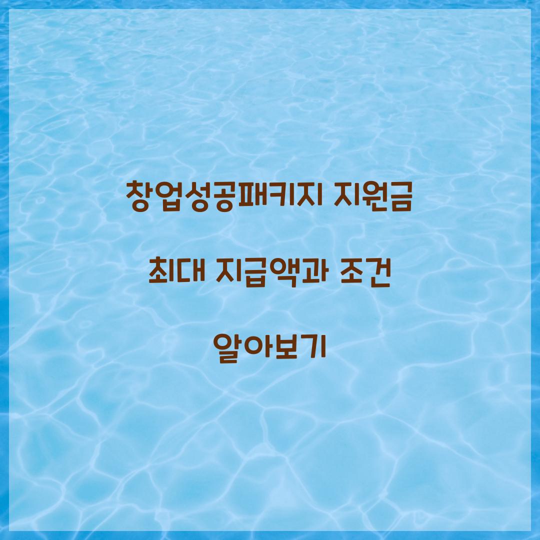 창업성공패키지 지원금