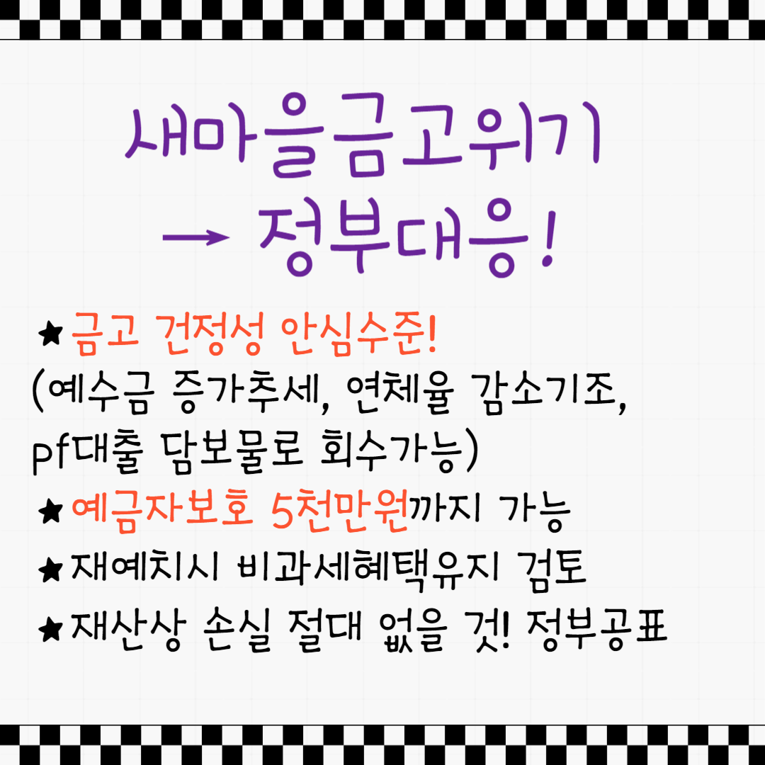 새마을금고부실위기 정부대응
