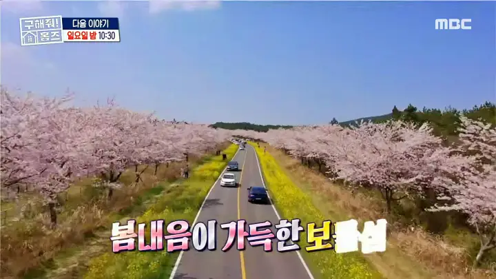 구해줘홈즈 제주살이 박해진 박정아 김희재 종달스테이 산방산내맞선 서귀포 시즌하우스 지금부터 야자 쇼타임 연세 3천만원