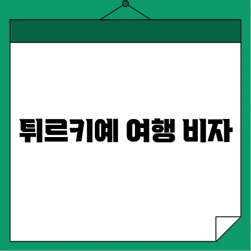 튀르키예 여행 비자