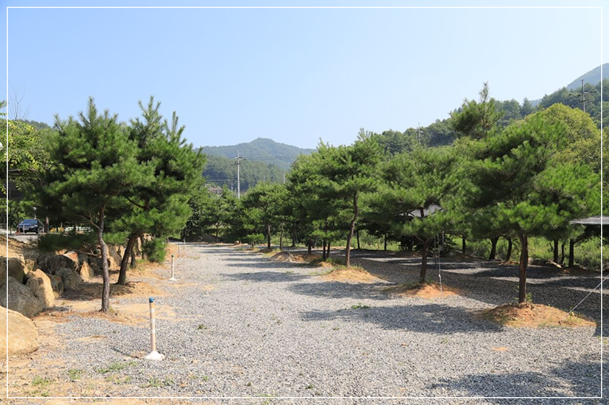 영월 가볼만한곳 베스트10 동강 무릉도원