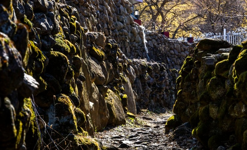 구례 산수유마을 (5월 산책용)