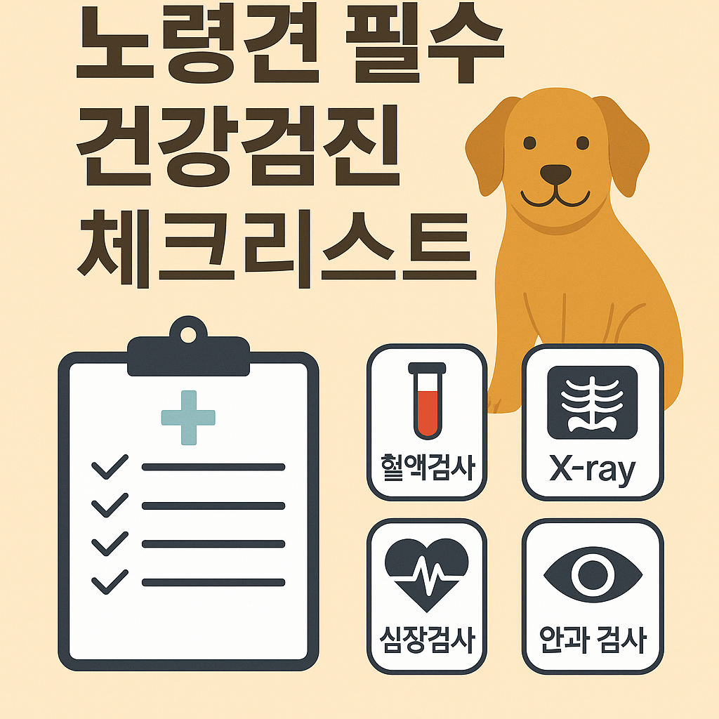 노령견 필수 건강검진 체크리스트, 꼭 챙겨야 할 항목