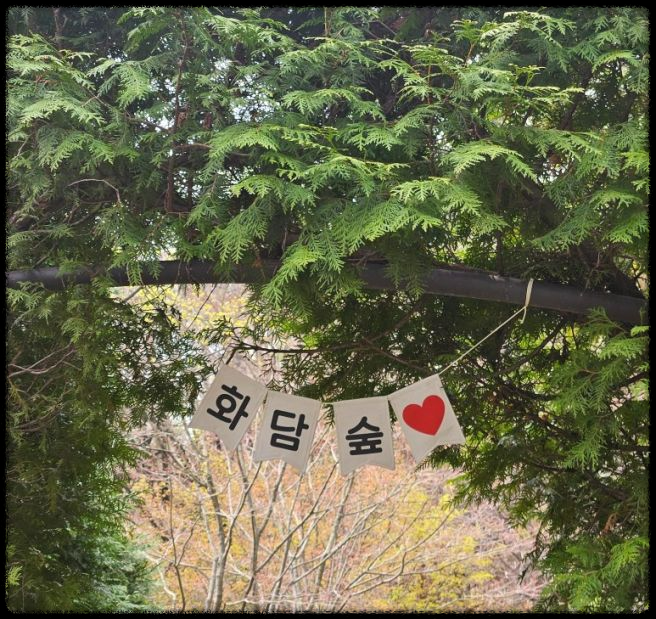 화담숲 데이트 - 벚꽃 아래서 힐링 여행!