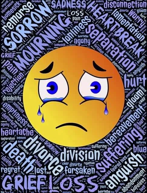 장년층(50~60대) 맞춤형 재도약 지원 정책