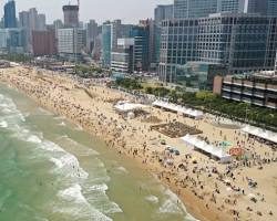 전국 해수욕장 개장