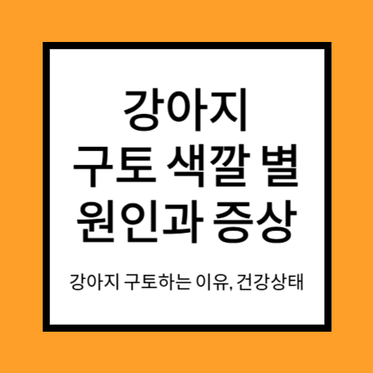 강아지 토하는 이유