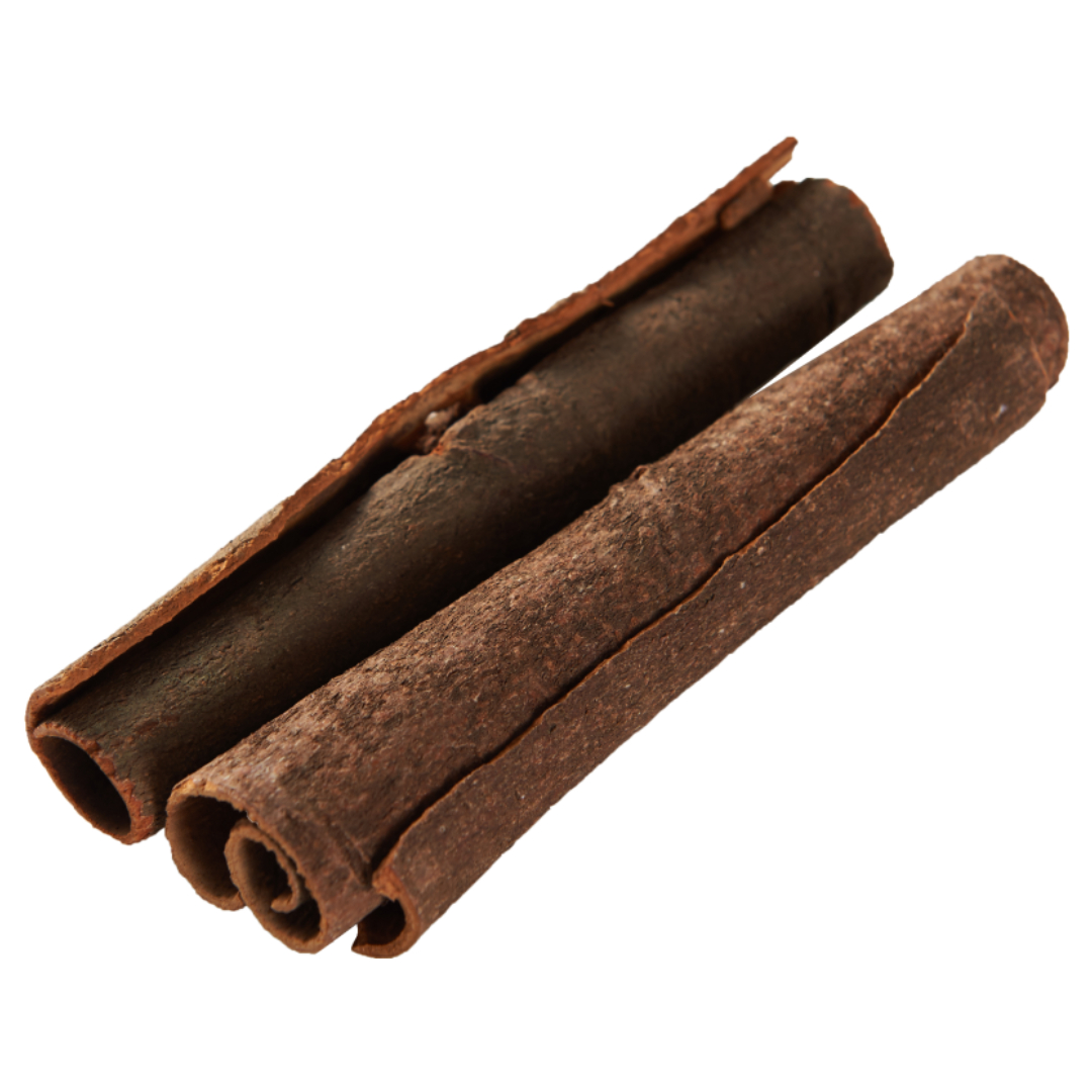 공진단과 관련된 사진입니다.