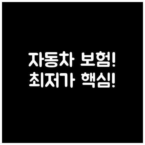 자동차 보험 갱신 최저가 달성 위한 ..